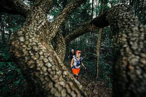 BIB: 
                            <button type="button" onclick="openModal(25393378)" class="btn btn-primary btn-sm float-right btn-popup" data-toggle="modal" data-target=".modal-high-quality">
                        <i class="fas fa-shopping-cart"></i> Add to Cart
                    </button>
                                            <button type="button" onclick="isThisMe(25393378, true)" class="btn btn-success btn-sm float-right btn-popup btn-isme hidden" data-toggle="tooltip" data-placement="bottom" title="นี่คือรูปของคุณใช่ไหม คลิกที่นี่เพื่อเอาเข้าอัลบั้ม">
                        <i class="fas fa-plus"></i> Add to album
                    </button>
                    <button type="button" onclick="isThisMe(25393378, false)" class="btn btn-warning btn-sm float-right btn-popup btn-isnotme hidden">
                        <i class="fas fa-ban"></i> Remove from album
                    </button>